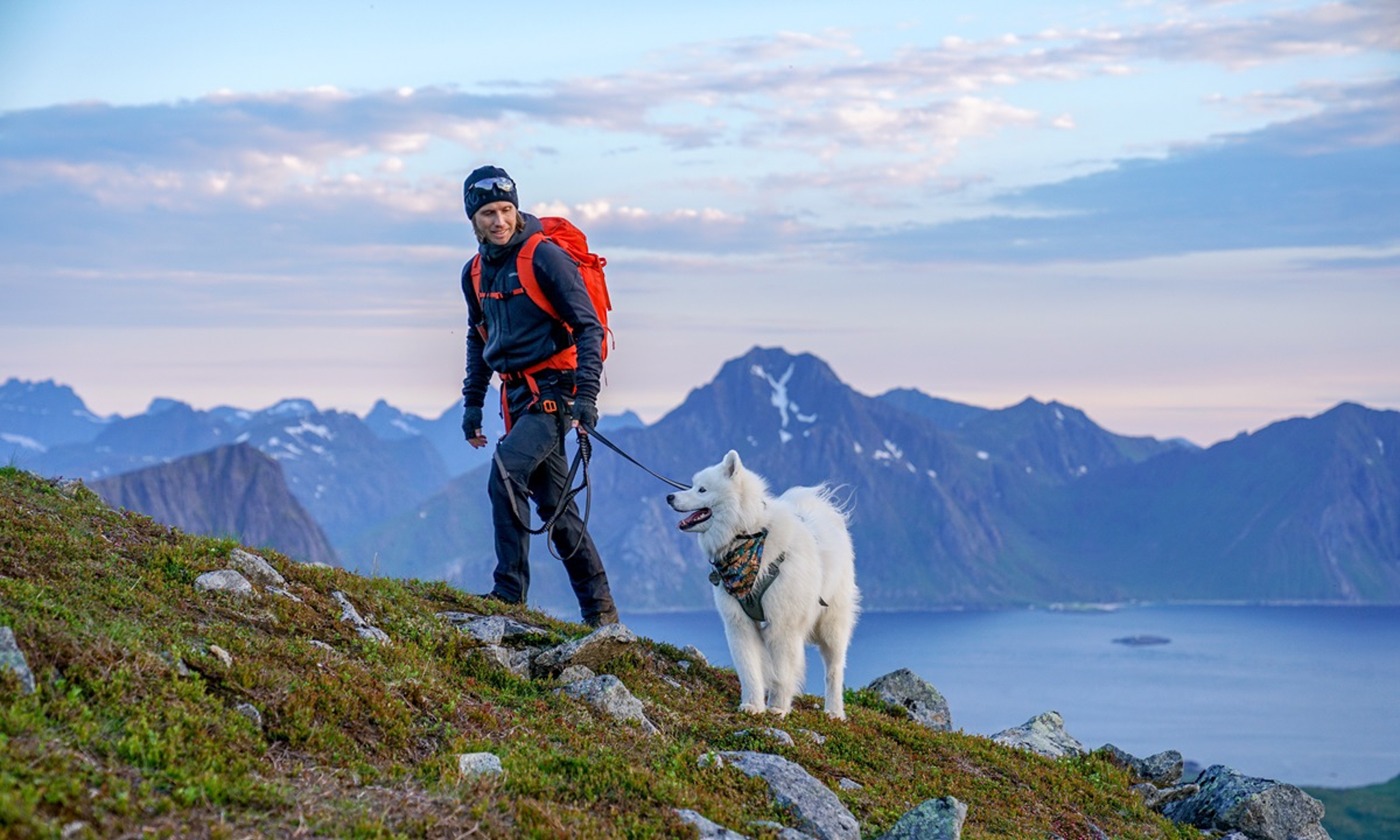 leashed-dog-for-nature-conservation