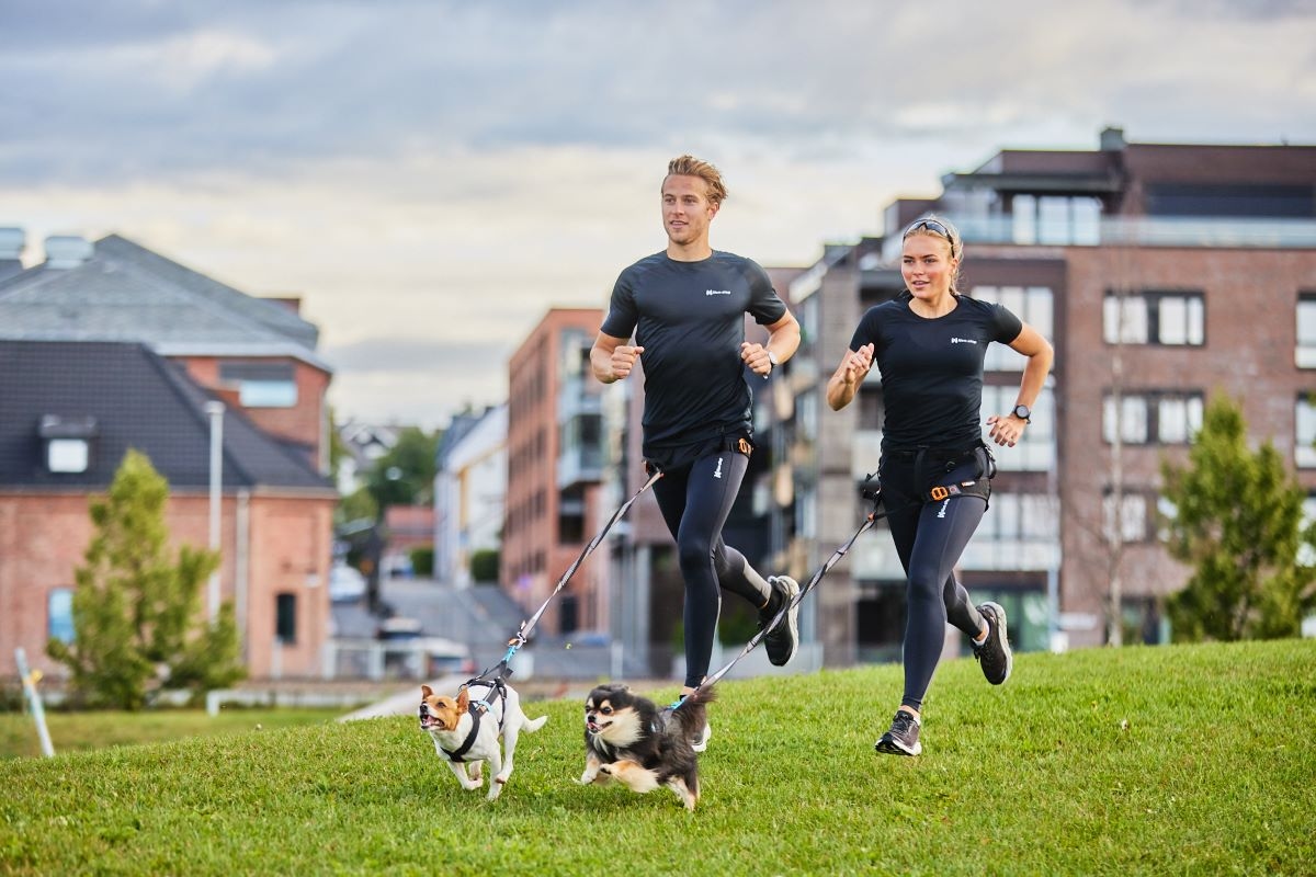 small-dogs-athletes-too