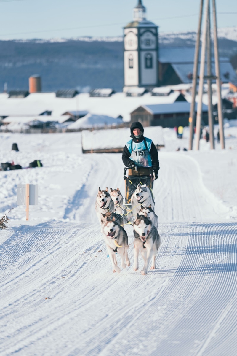 first-siberian-winning-femundlopet