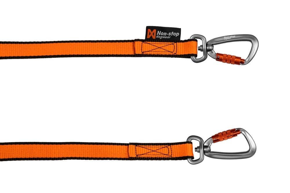 Bungee leash double