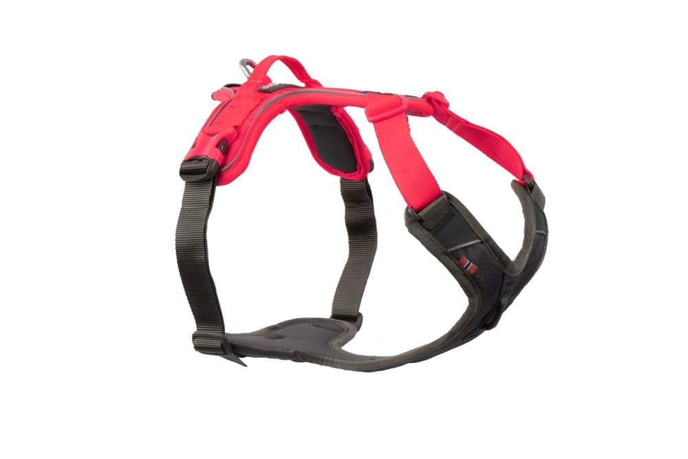 Ramble harness