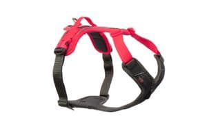 Ramble harness