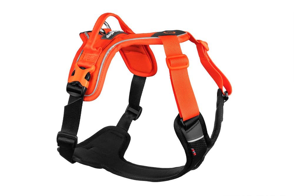 Ramble harness