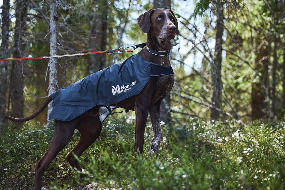 Trail light dog jacket