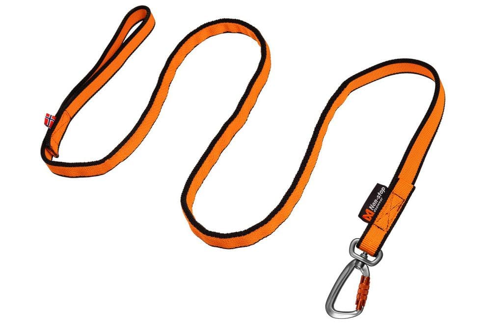 Bungee leash