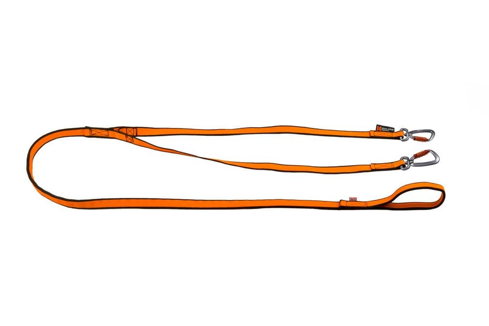 Bungee leash double