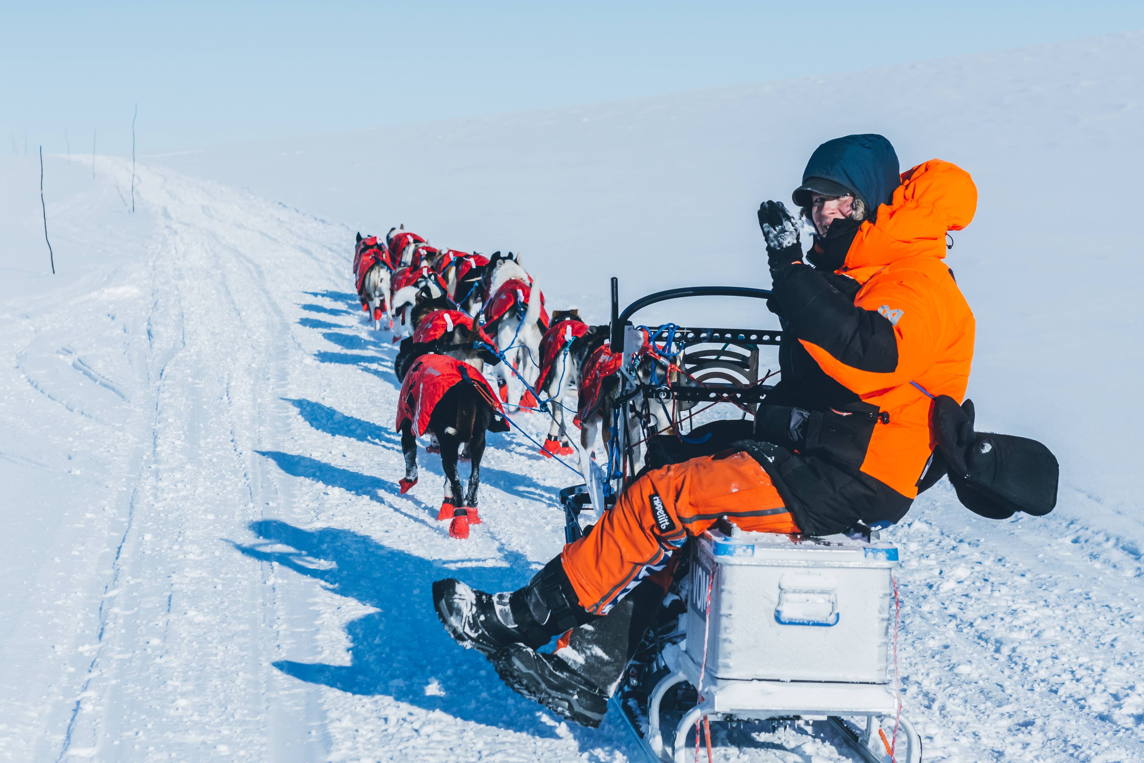 Team of sled dogs wearing the Long distance jacket