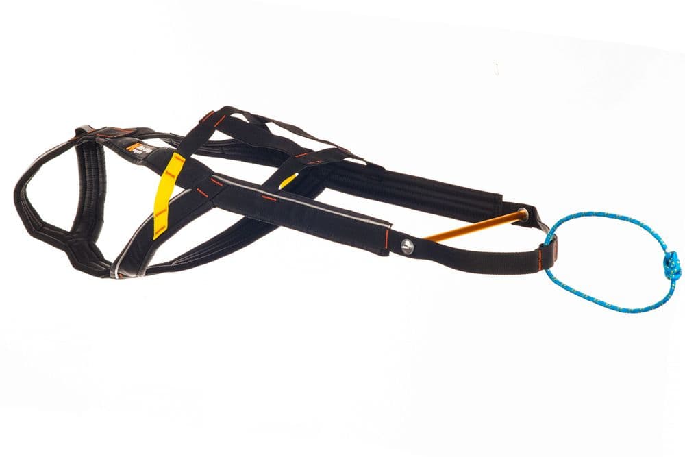 Nansen stick harness