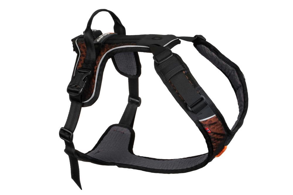 Rock harness