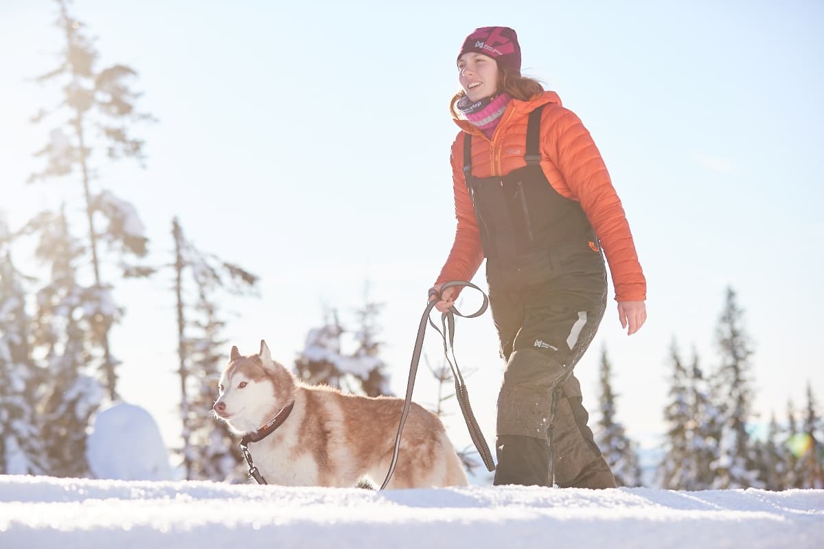 Walking dog in the snow wearing the Arctic buksa