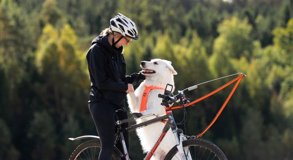 Biking kit