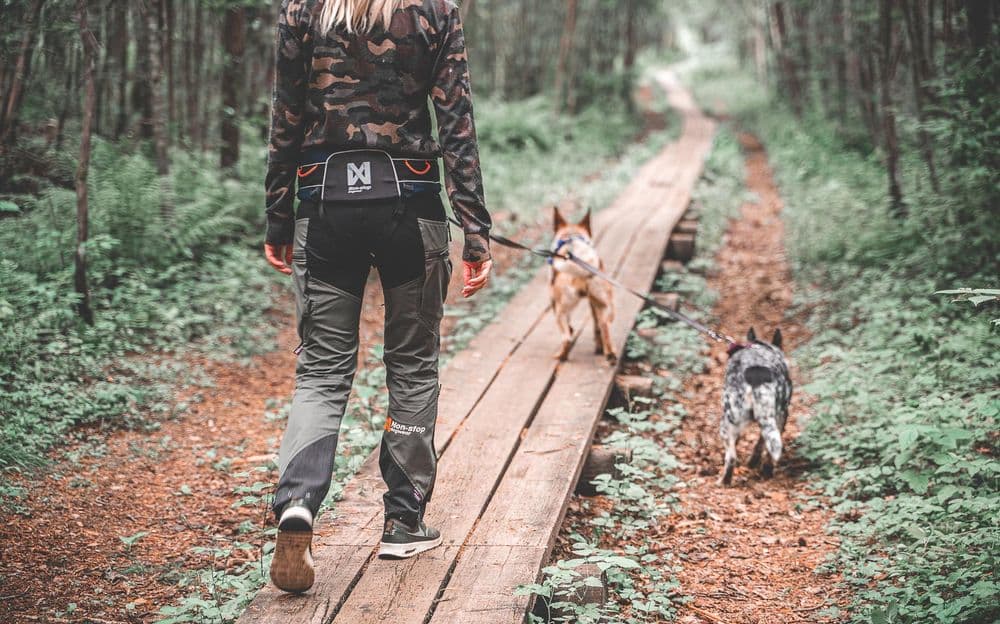 Trekking belt