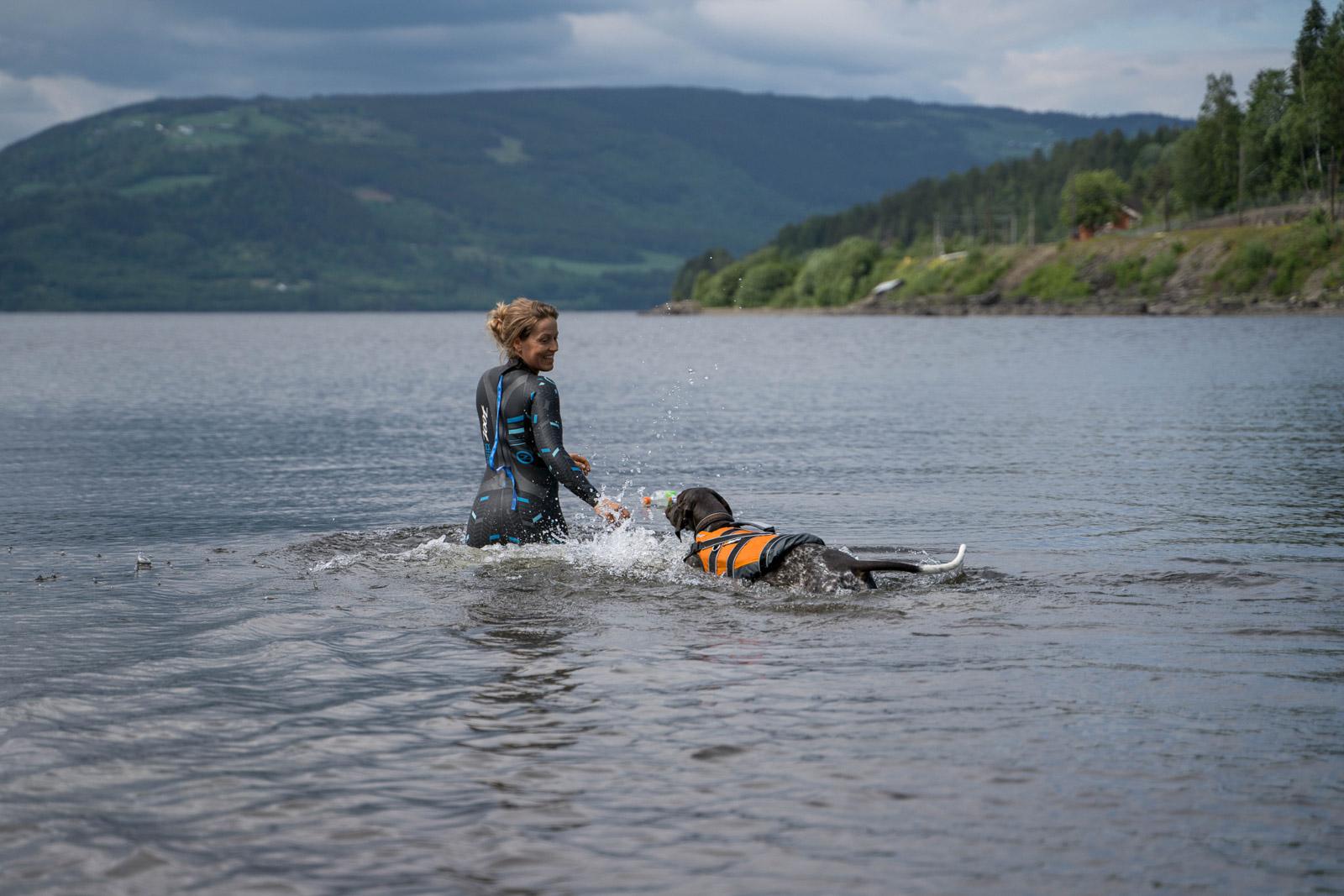 Wie Du Deinem Hund in 5 Schritten das Schwimmen beibringst