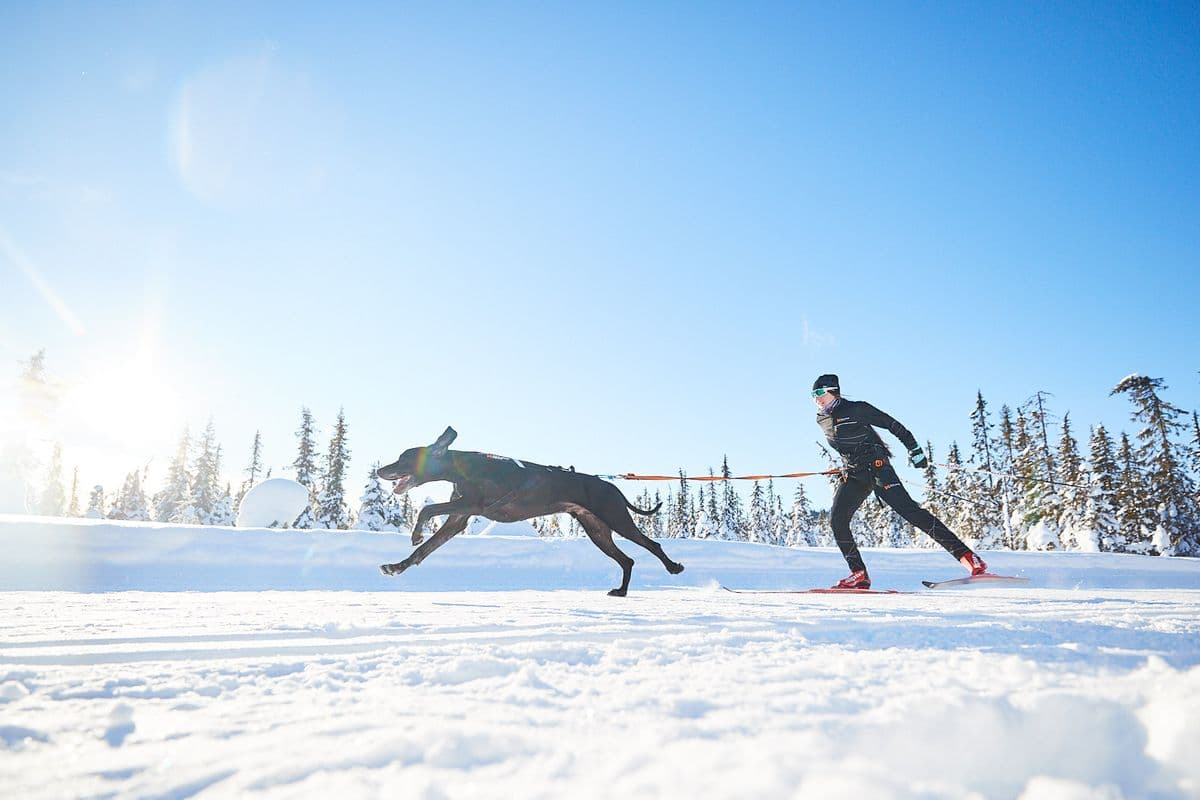 Skiing