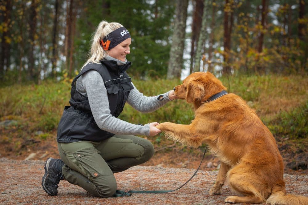 Dog training vest