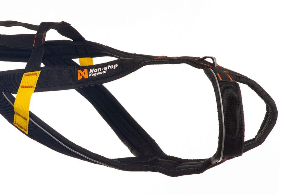 Nansen stick harness