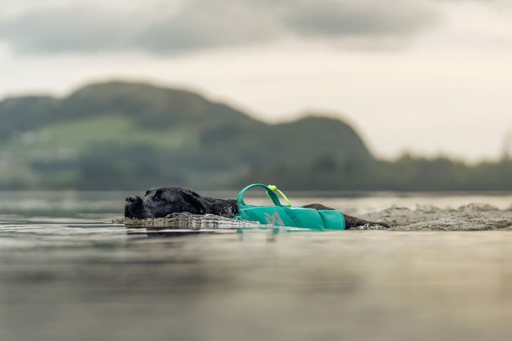 SAFE-R buoyancy construction