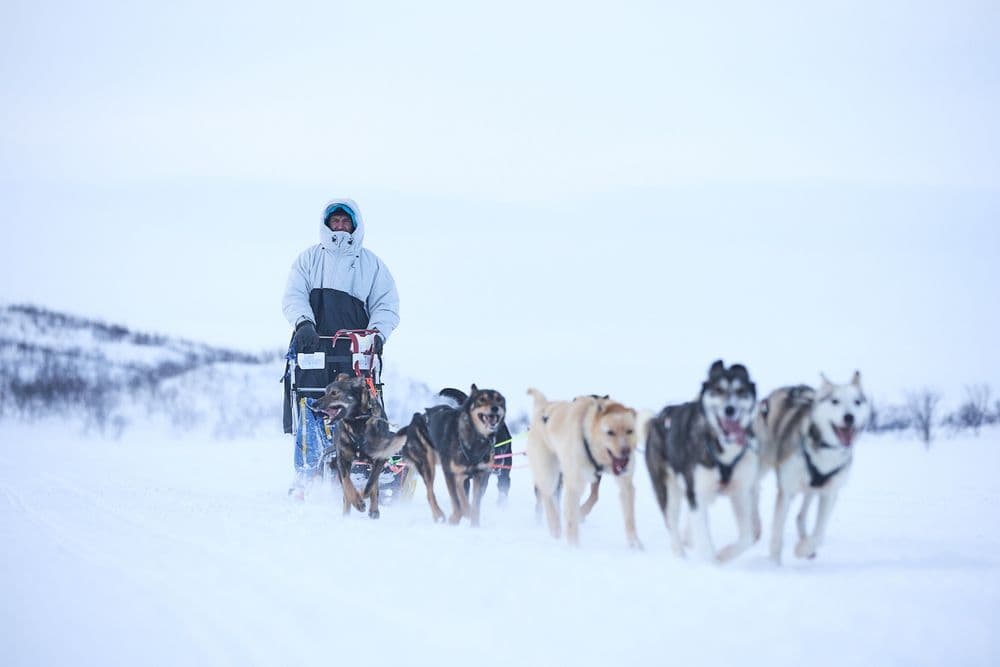 Tundra anojakka 2.0