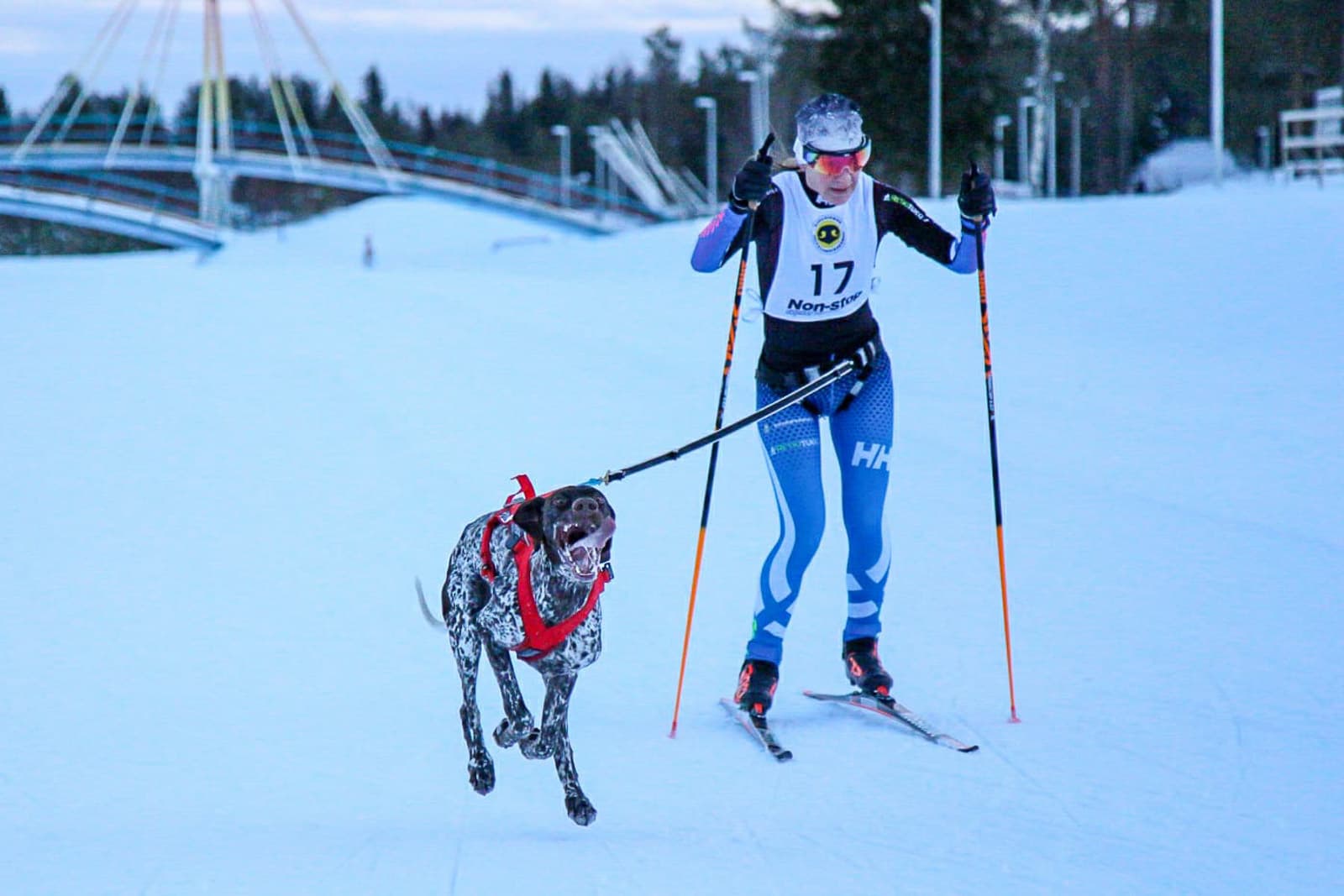 Maija Nivala