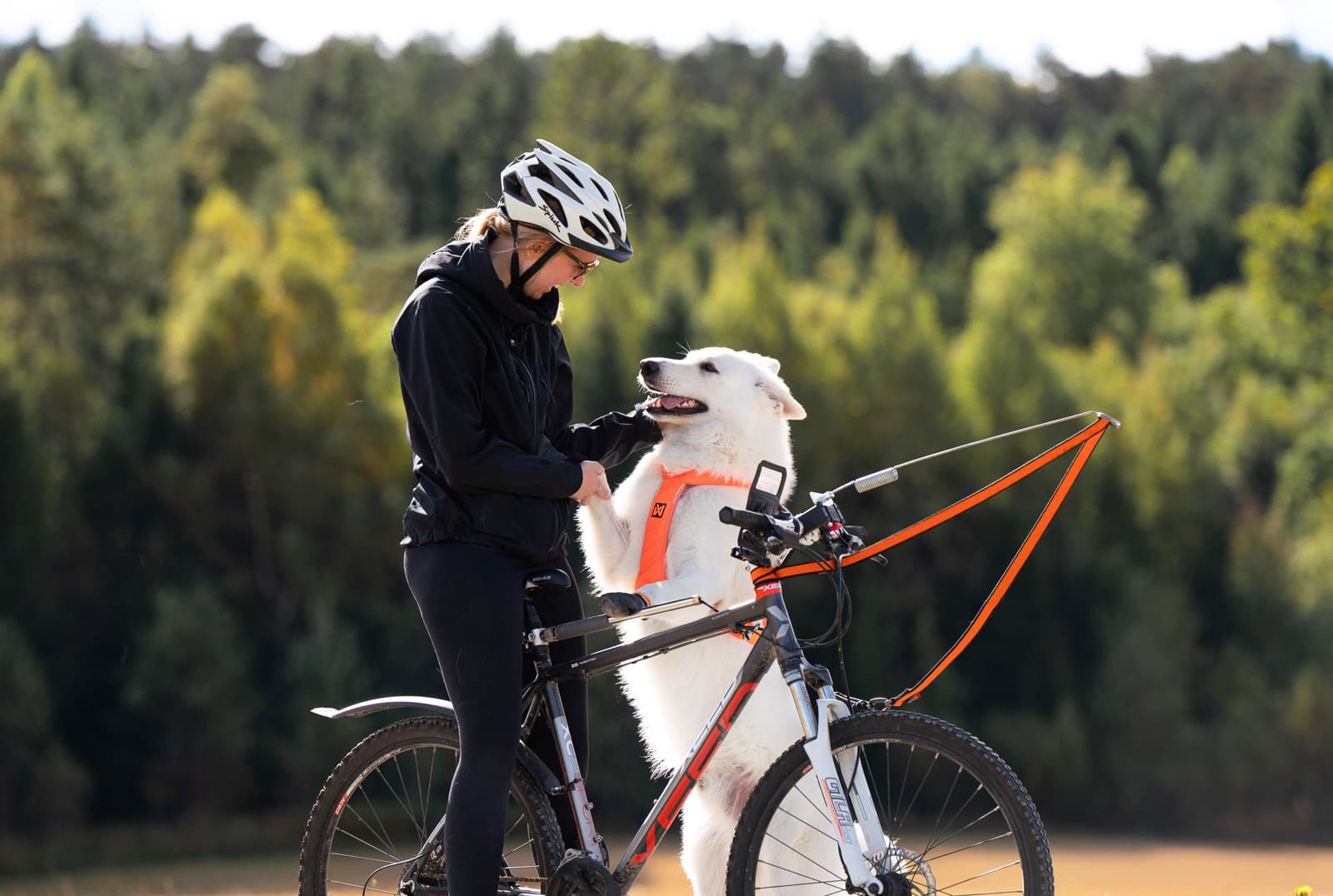 Gifts for biking with dogs