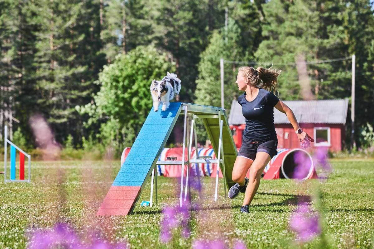 Running agility parkour with the caniX twin shorts 