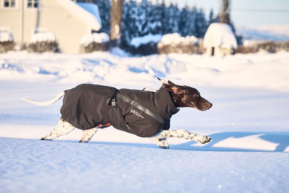 Trekking insulated dog jacket