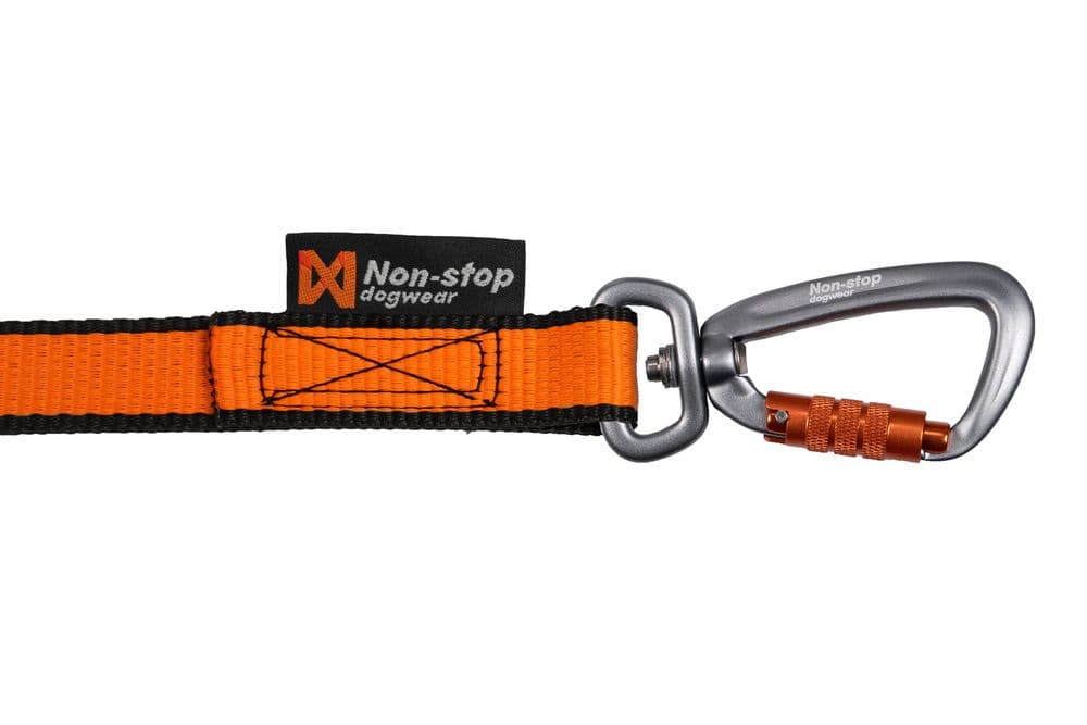 Bungee leash double