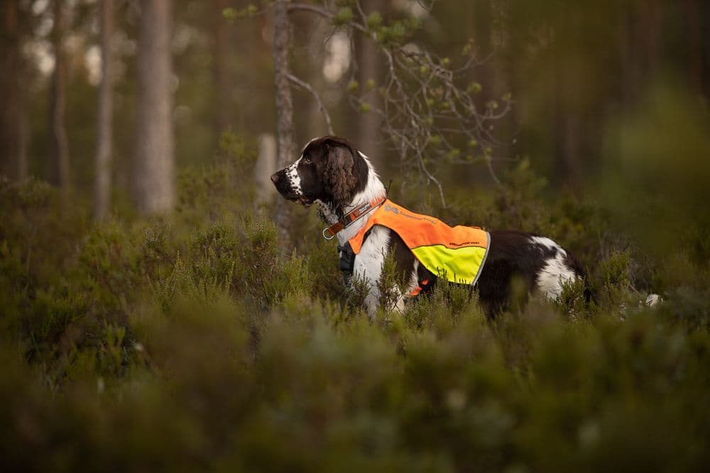 Protector vest