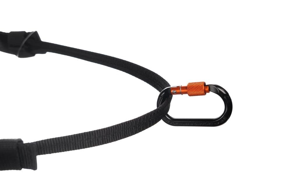 Srew-lock carabiner