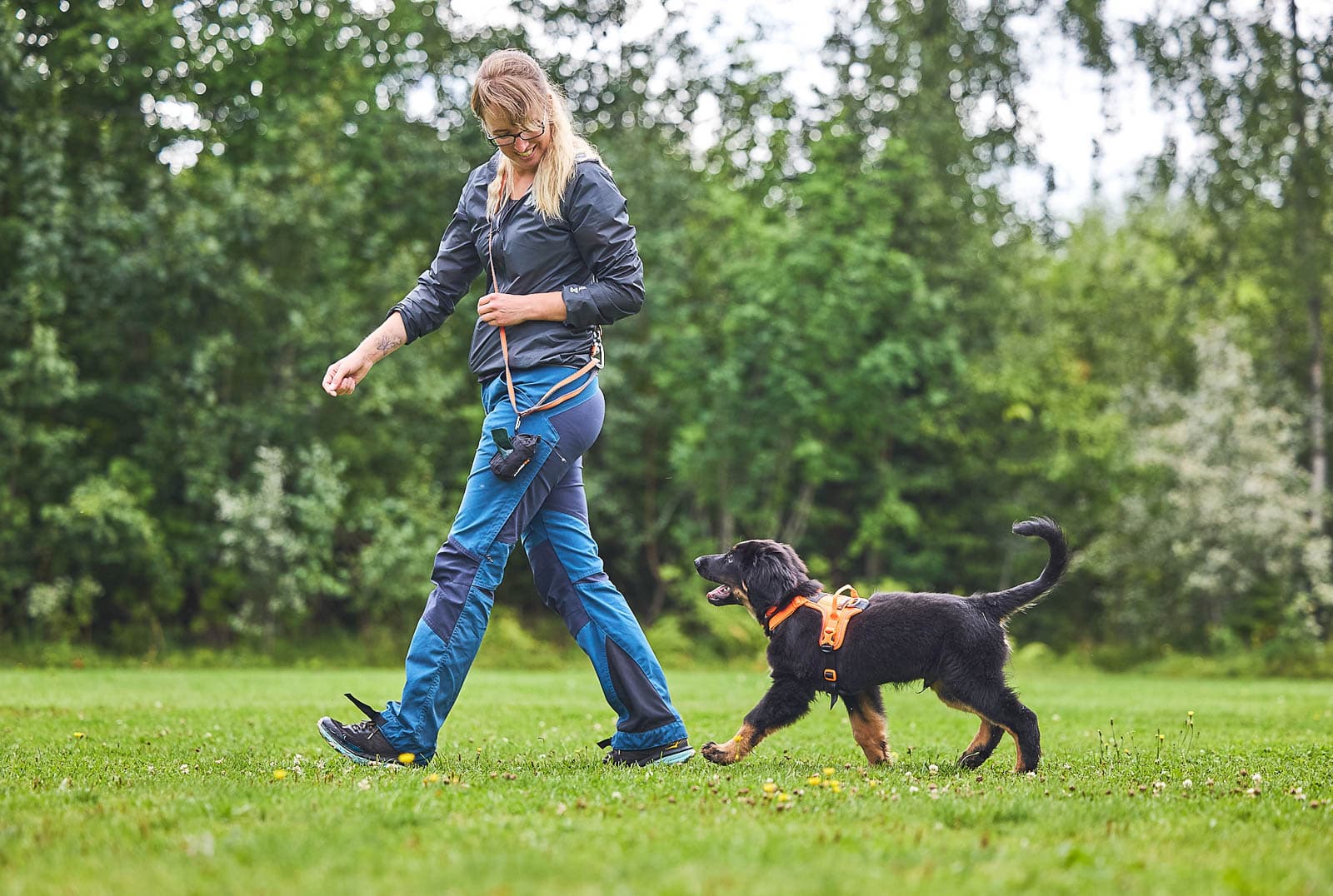 Gifts for puppies and puppy owners