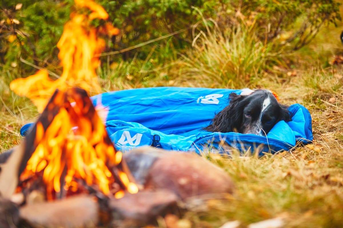 Puppy sleeping in the Ly sleeping bag, next to a fire