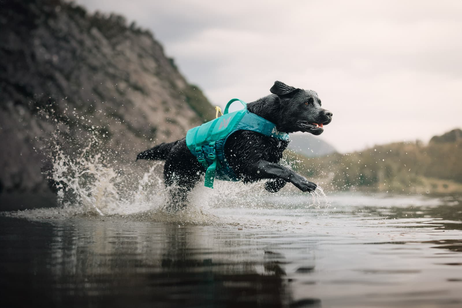 Life jacket & gear