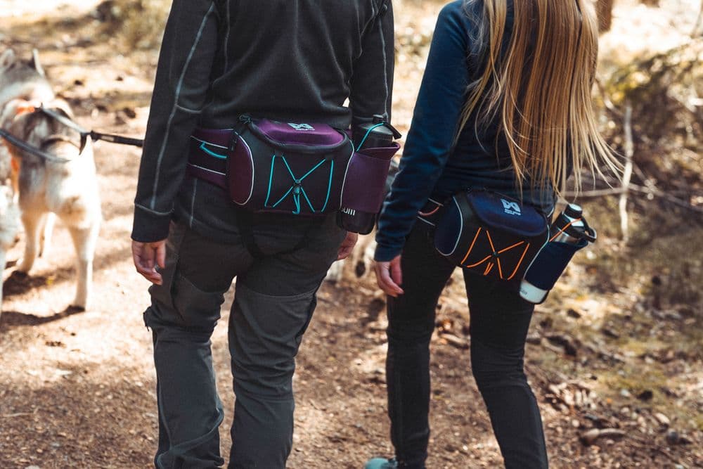 Trekking belt bag