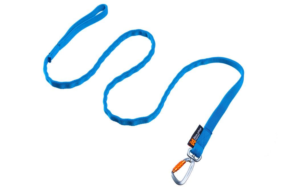 Bungee leash