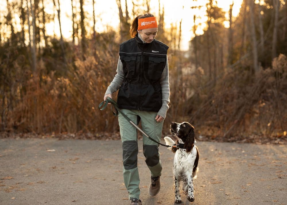 Dog training vest