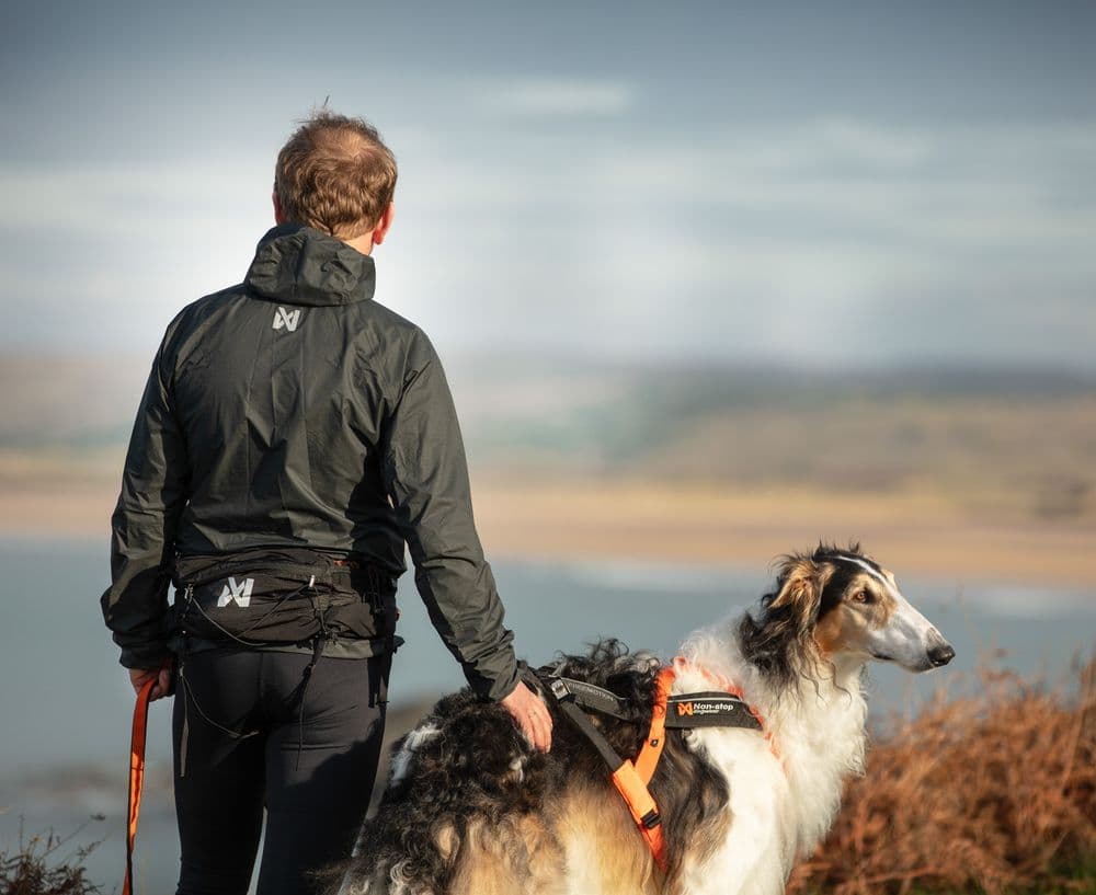 Trail light belt