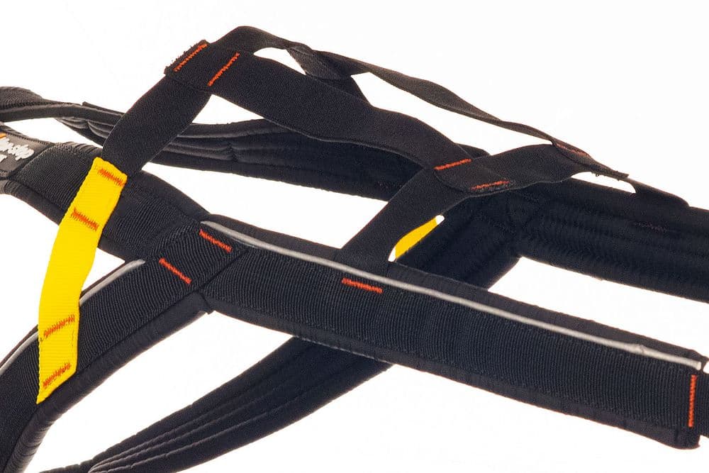 Nansen stick harness