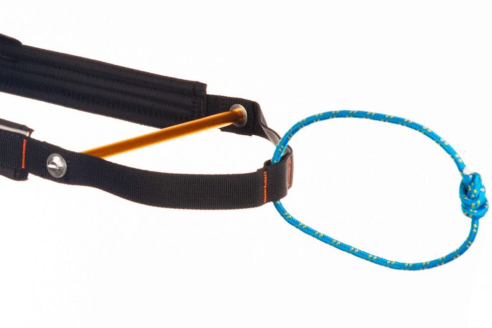 Nansen stick harness